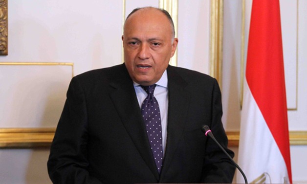 <strong>سامح شكري</strong>