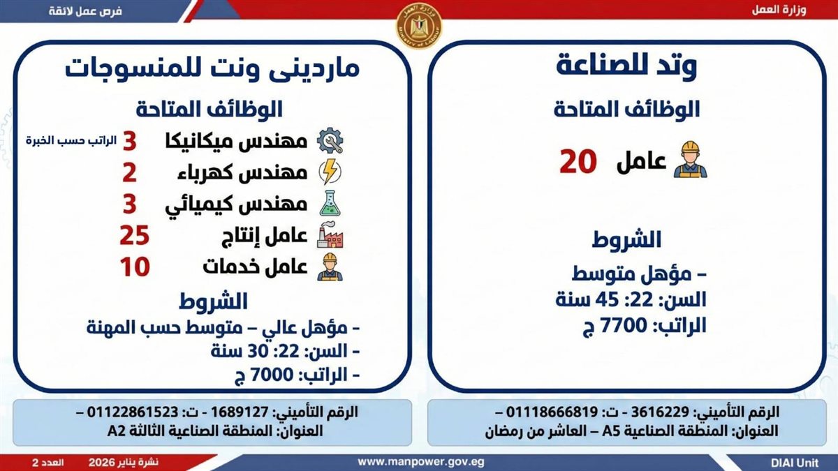 <strong>6499 وظيفة في 10 محافظات.. اعرف المهن المطلوبة وطريقة التقديم</strong>