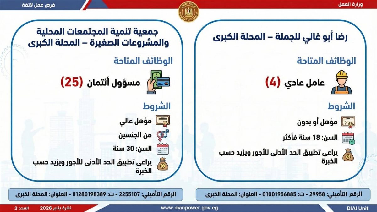 <strong>6499 وظيفة في 10 محافظات.. اعرف المهن المطلوبة وطريقة التقديم</strong>