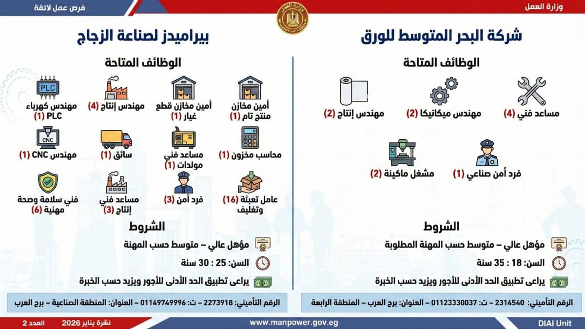 <strong>6499 وظيفة في 10 محافظات.. اعرف المهن المطلوبة وطريقة التقديم</strong>