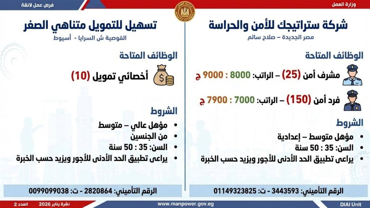 <strong>6499 وظيفة في 10 محافظات.. اعرف المهن المطلوبة وطريقة التقديم</strong>