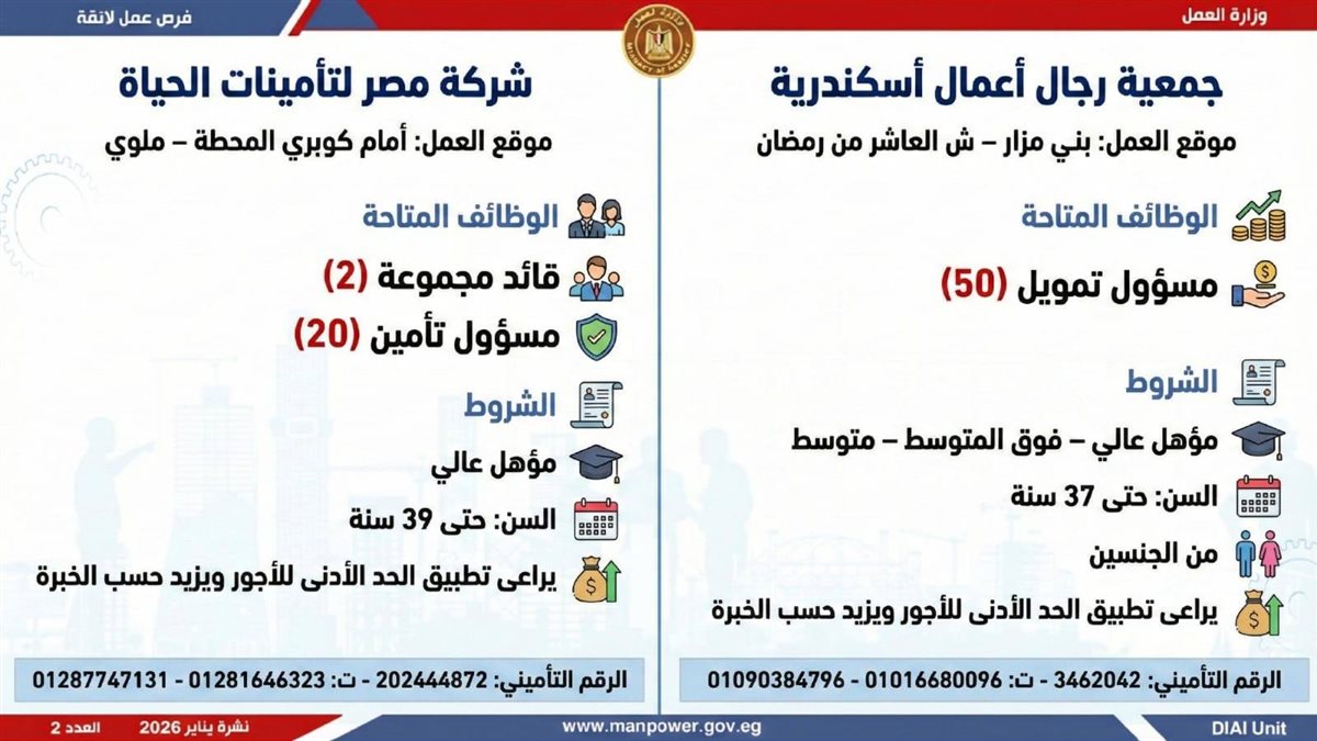<strong>6499 وظيفة في 10 محافظات.. اعرف المهن المطلوبة وطريقة التقديم</strong>