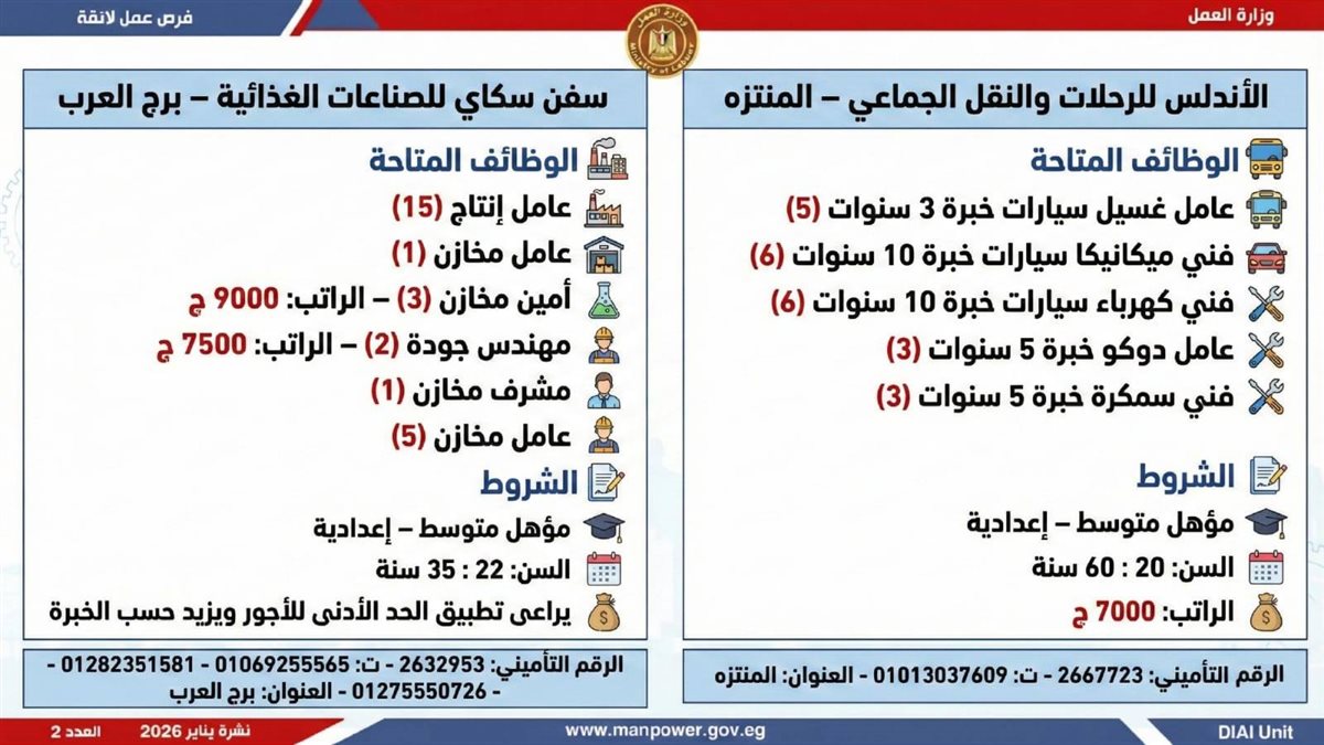 <strong>6499 وظيفة في 10 محافظات.. اعرف المهن المطلوبة وطريقة التقديم</strong>