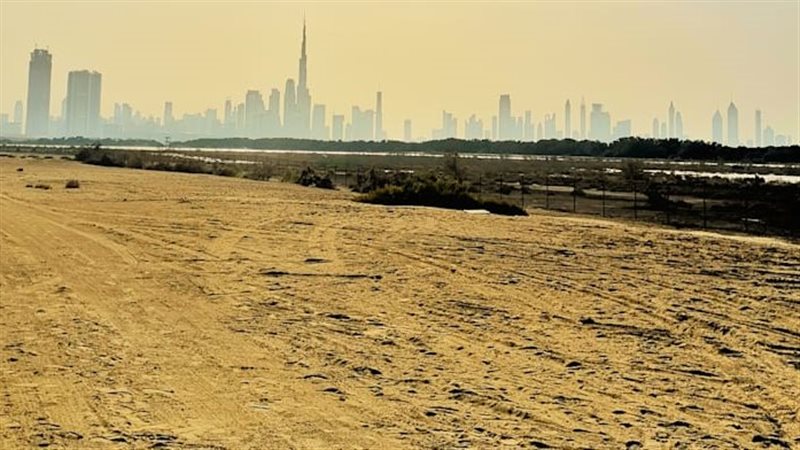 منطقة النقب<br>&nbsp;