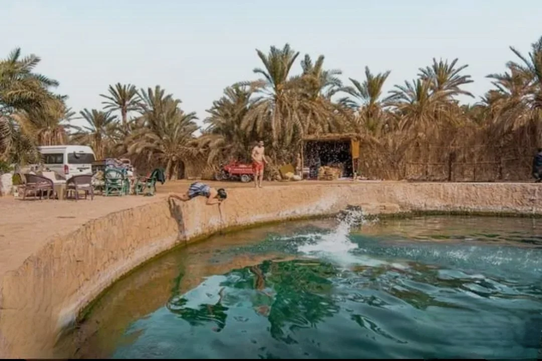 واحة سيوة