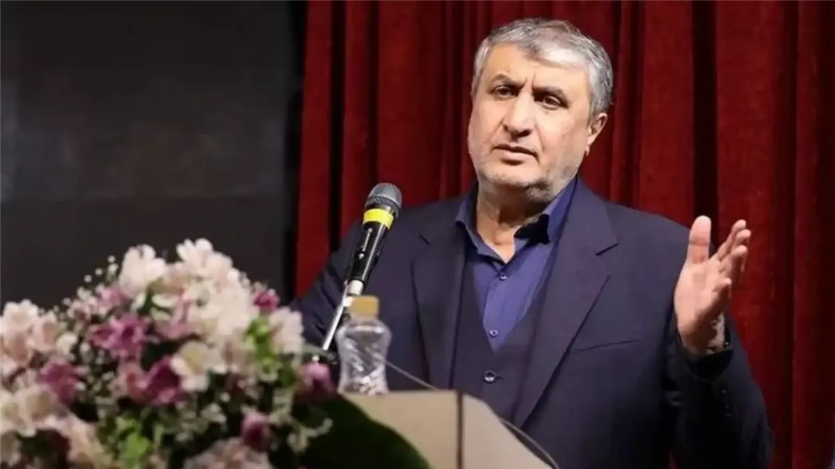 <strong>محمد إسلامي، رئيس منظمة الطاقة الذرية الإيرانية</strong>