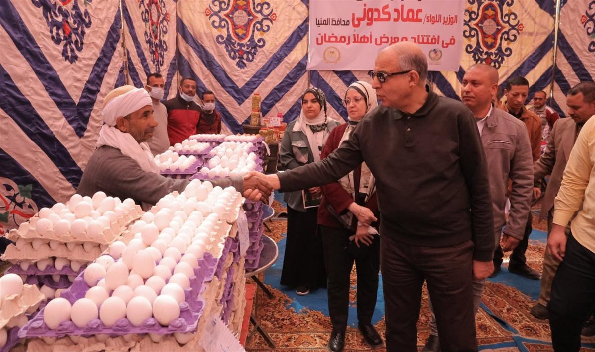 محافظ المنيا