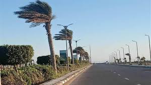 نشاط رياح&nbsp;