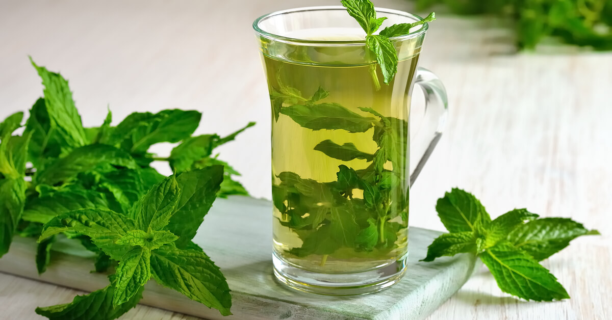 الشاي الأخضر&nbsp;