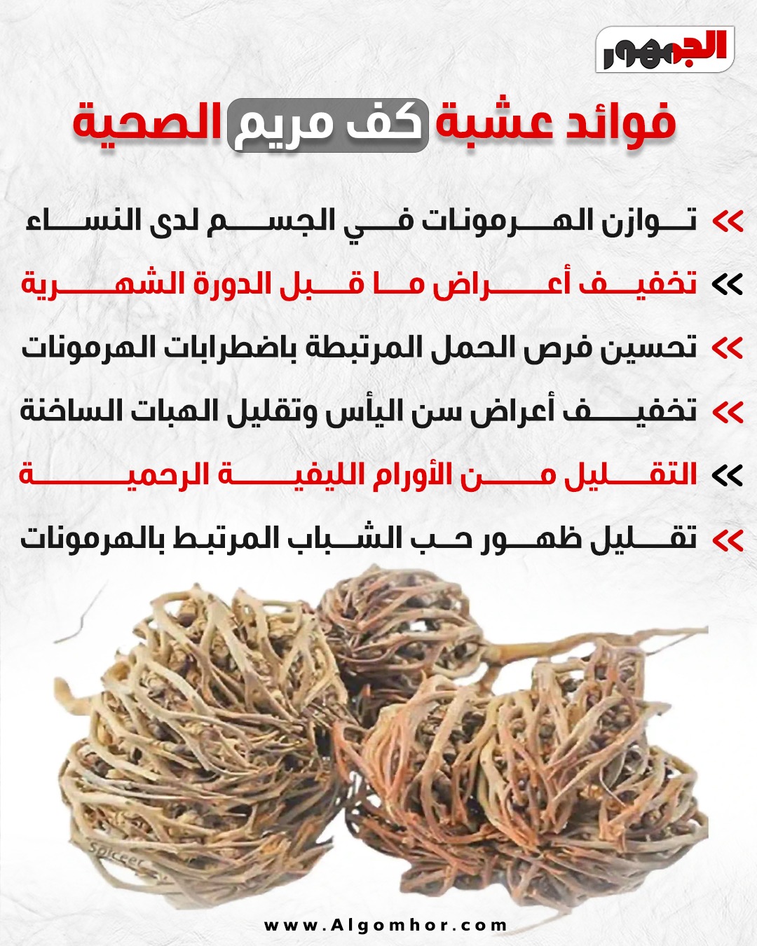 فوائد عشبة كف مريم الصحية&nbsp;