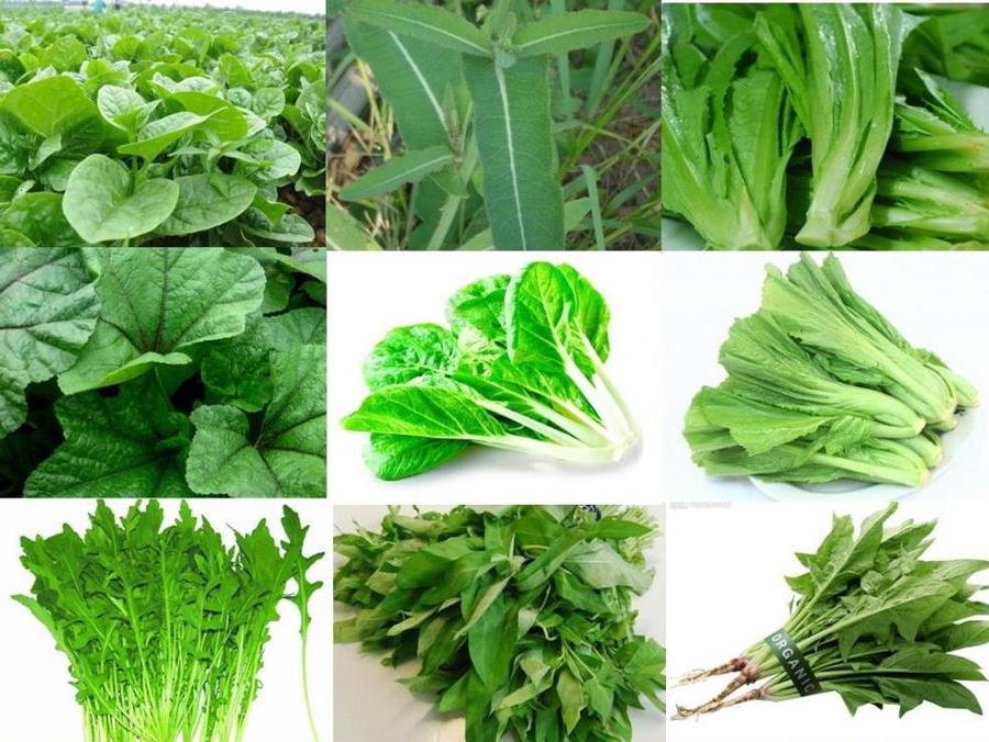&nbsp;الخضراوات الورقية&nbsp;