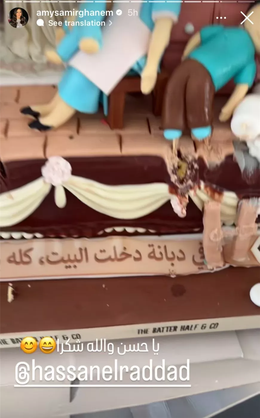 <strong>عيد ميلاد إيمي سمير غانم</strong>