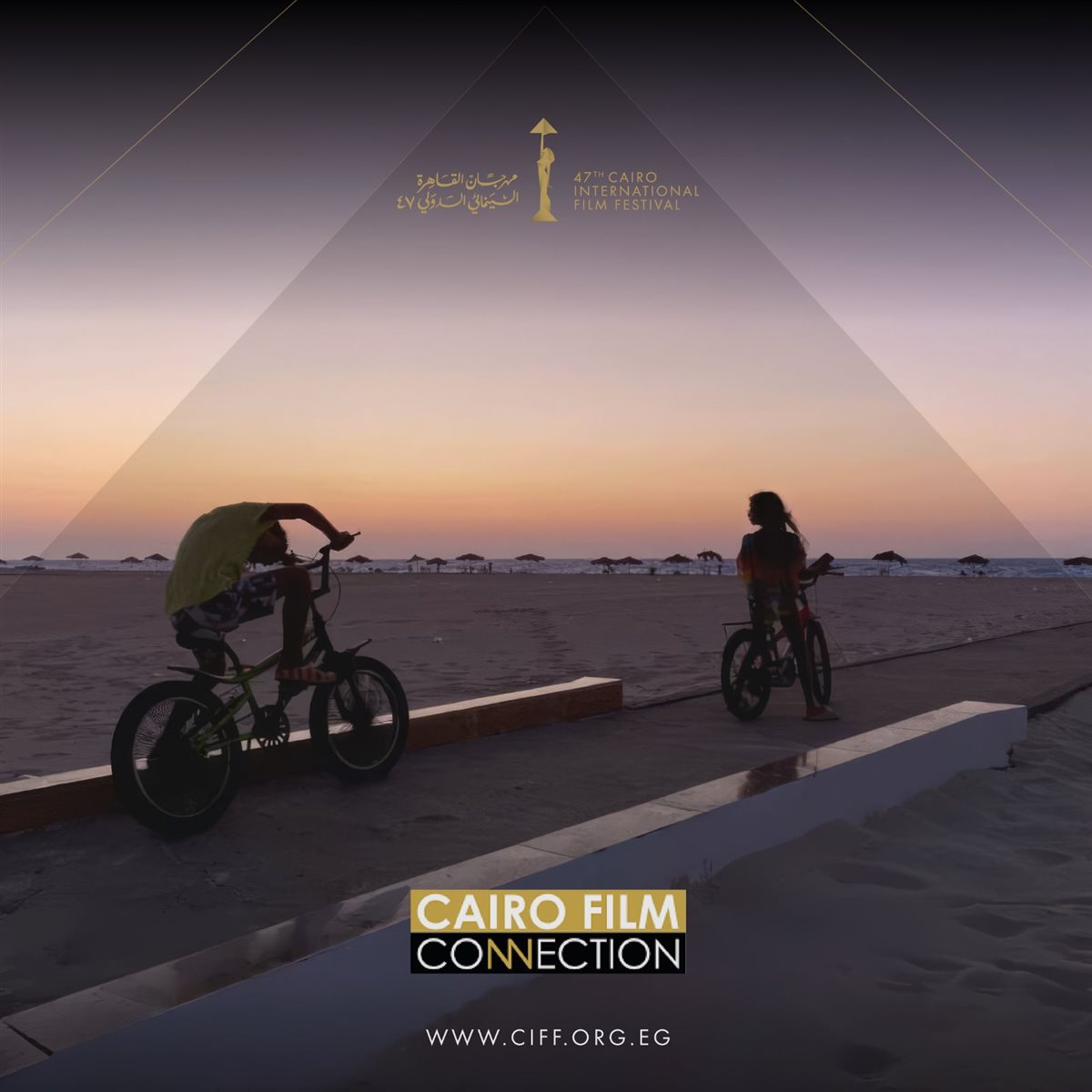 <strong>مهرجان القاهرة السينمائي الدولي</strong>