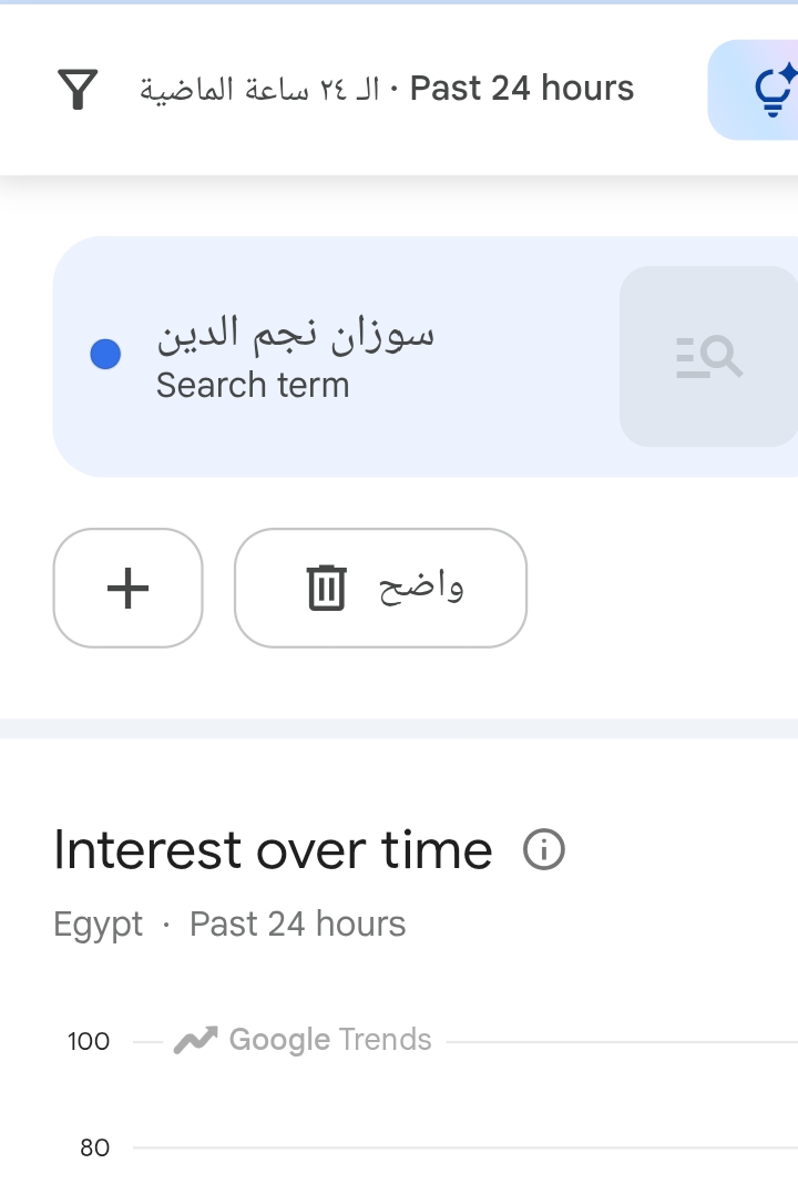 <strong>سوزان نجم الدين</strong>