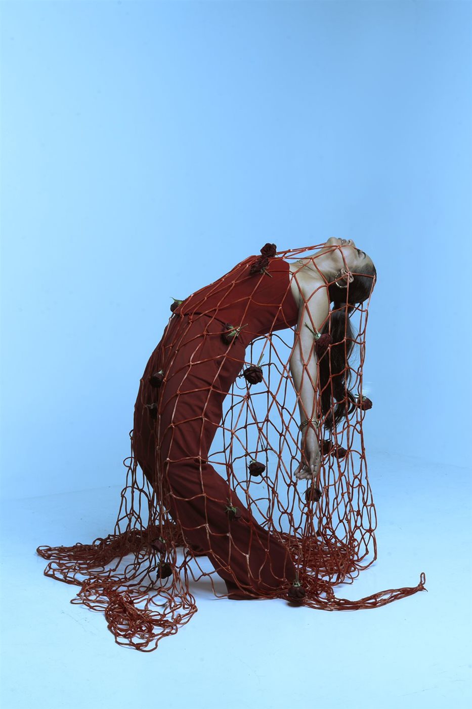 <strong>نانسي صلاح</strong>
