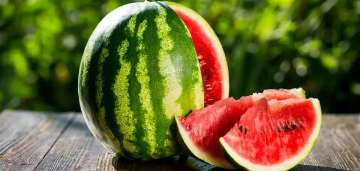 <strong>بطيخ</strong>