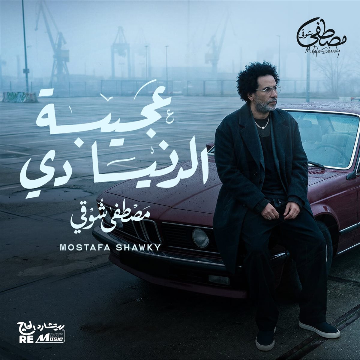 <strong>مصطفى شوقي</strong>