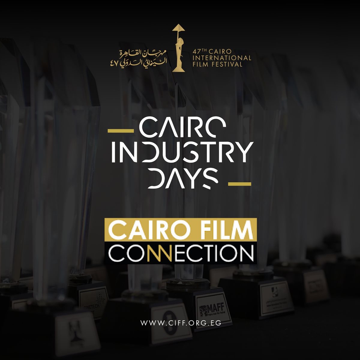 <strong>مهرجان القاهرة السينمائي الدولي</strong>