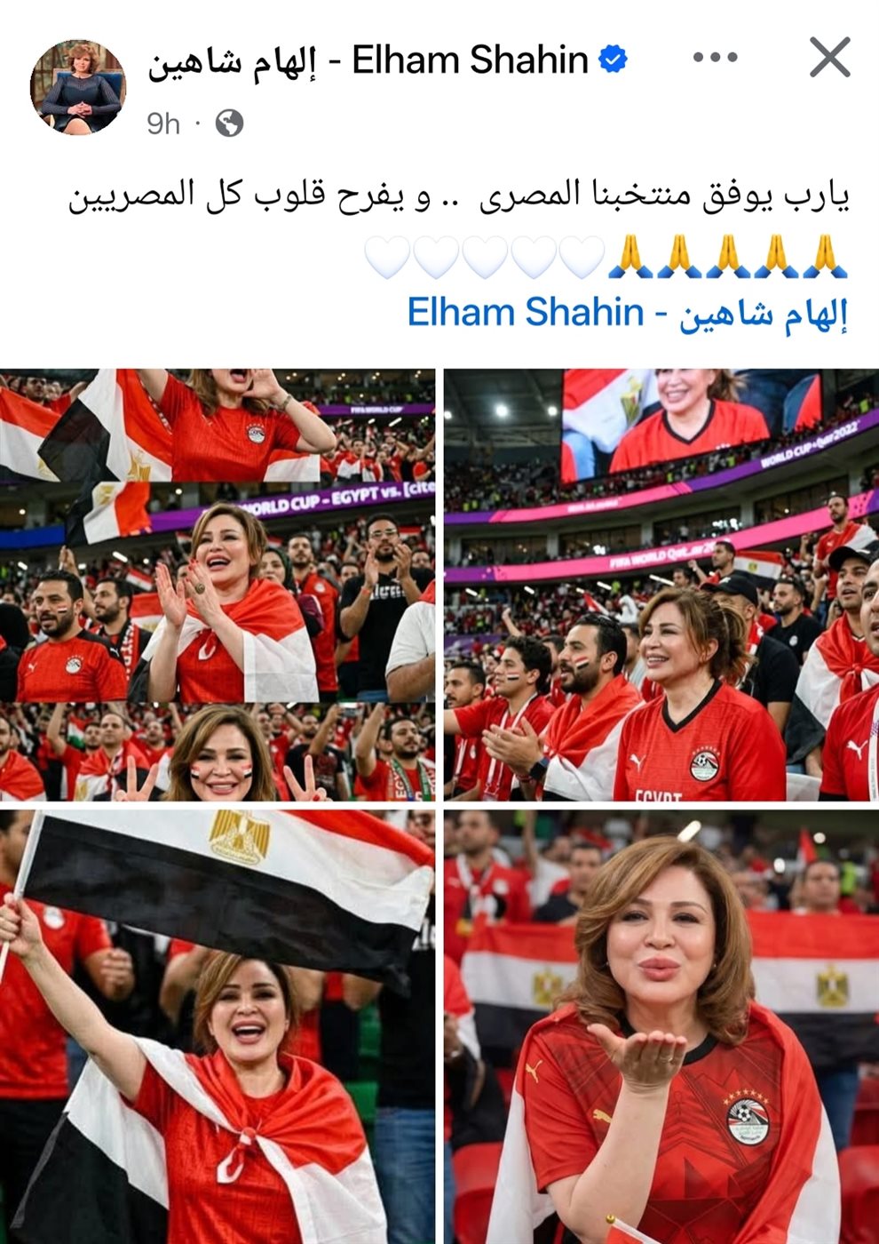<strong>إلهام شاهين</strong>