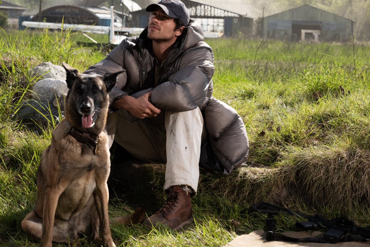 <strong>فيلم The Dog Stars</strong>