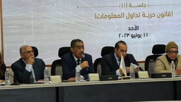 ضياء رشوان المنسق