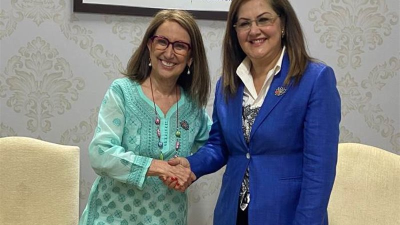 وزيرة التخطيط