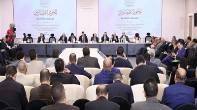 ضحى عبد الحميد تطالب بتوفير محفزات للاقتصاد غير الرسمي لدمجه