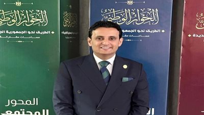 «عضو بالشيوخ» يؤكد حاجة الصناعات الصغيرة والمتوسطة إلى التشجيع
