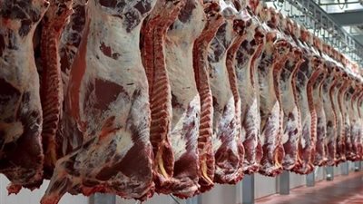 قرار عاجل من وزير التنمية المحلية بشأن المجازر الحكومية