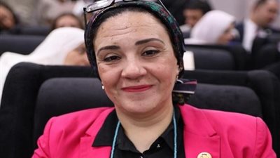 مساعد رئيس حزب المؤتمر تكشف أهم الأسباب وراء العنف الأسري