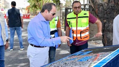 الرئيس يقوم بجولة تفقدية لأعمال تطوير عدد من الطرق بالقاهرة الكبرى