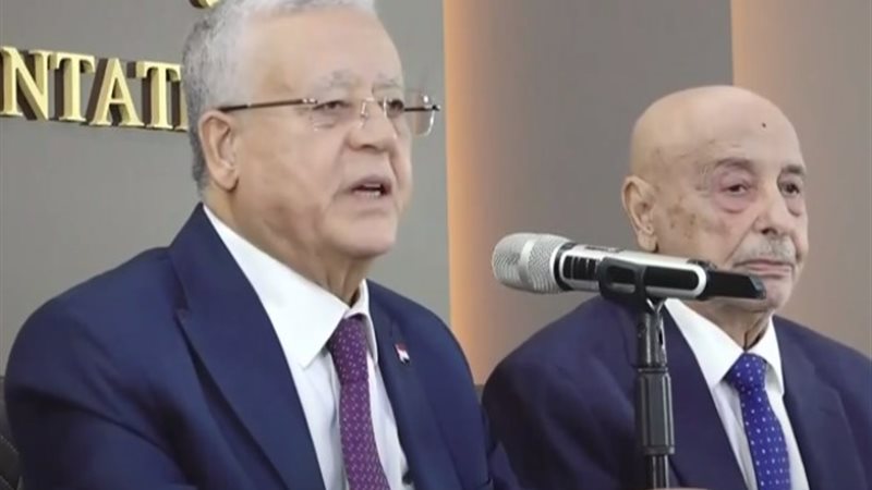 المستشار حنفي جبالي رئيس مجلس النواب