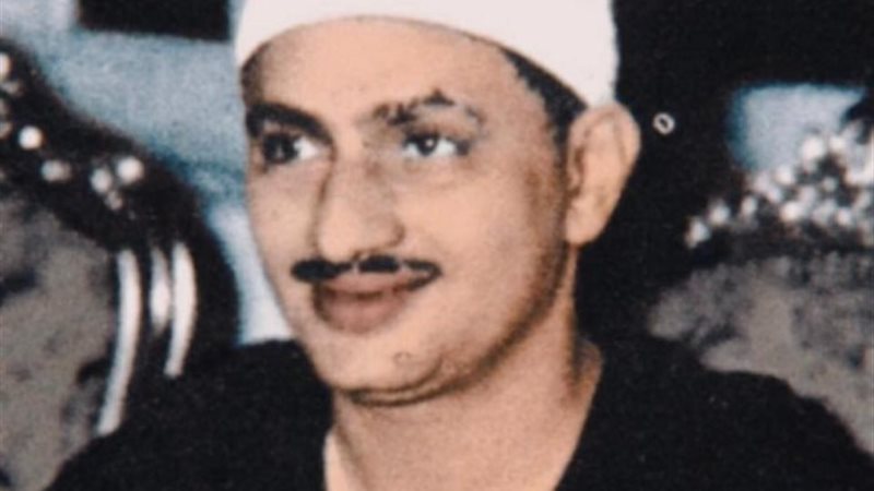 الشيخ محمد صديق المنشاوي