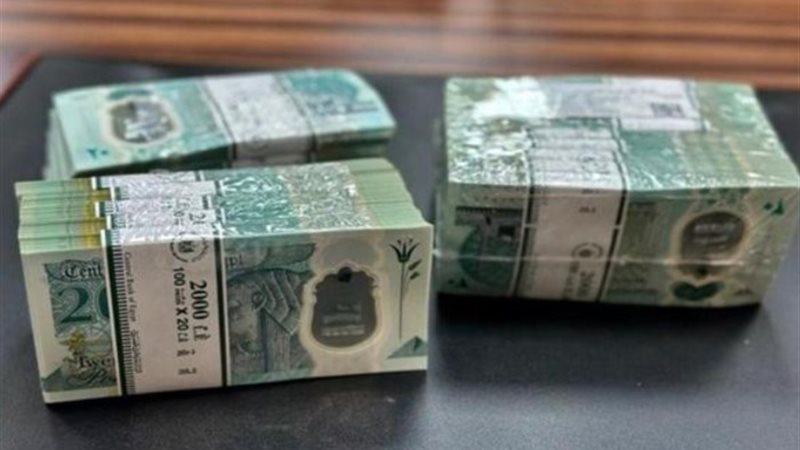العملة البلاستيكية الجديدة