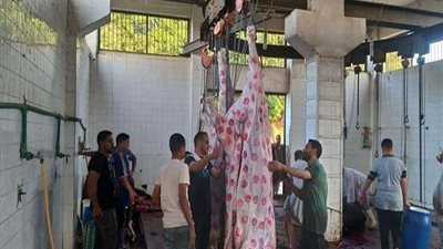 مجازر المنيا تنهي استعداداتها لذبح أضاحى العيد مجانًا