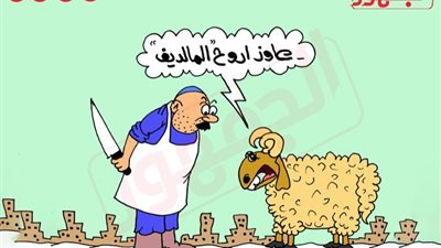 العيد على طريقة«الجمهور».. الخروف رايح المالديف وانت فين؟