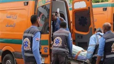 مصرع 4 أشخاص فى انقلاب سيارة بالمنيا