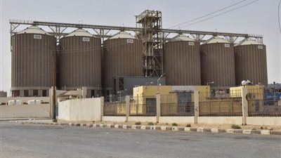محافظ أسيوط: ارتفاع معدلات توريد القمح المحلي لـ 135 ألف طن