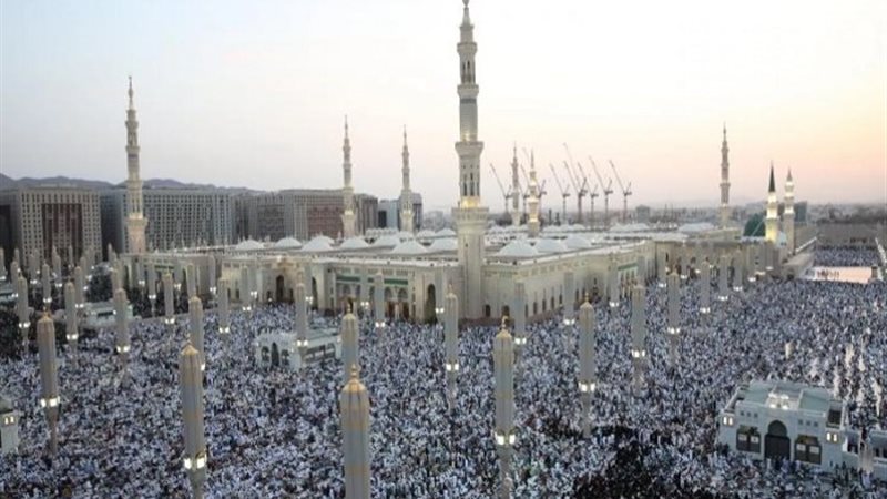 المدينة المنورة