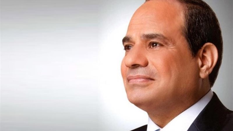 الرئيس السيسى