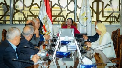وزيرة البيئة تناقش آليات إنتاج الأخشاب الـ «MDF» في مصر