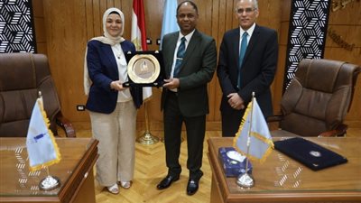 عميد معهد بحوث تكنولوجيا المواد المتقدمة: