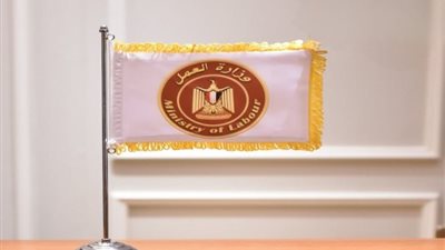 «العمل»: 13331 أجنبيًا حصلوا على تراخيص عمل في مصر
