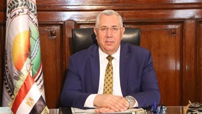 الإفراج عن 185 ألف طن أعلاف«الذرة والصويا» بحوالي 100 مليون دولار