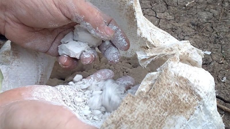 أسعار الجبس
