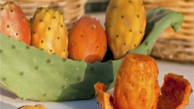التين الشوكي .. فوائده وطرق زراعته