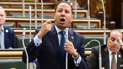 النائب حسن عمار: كلمة الرئيس بقمة نيروبي عكست أولويات الدولة المصرية للانخراط في تنمية القارة الإفريقية