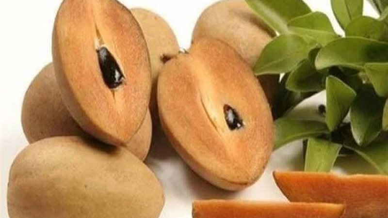 السابوتة