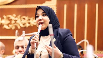برلمانية: تدشين برنامج RIPPLE ينشر ثقافة ريادة الأعمال بين طلبة الجامعات