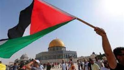 محلل فلسطيني: ندعم الدور المصري في محاولة الإصلاح بين الفصائل